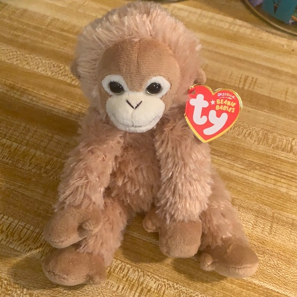Ty | Toys | Bongo Ty Beanie Baby | Poshmark